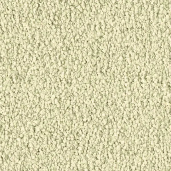 Vorwerk Violetta 8L45 – Draufsicht Teppichboden Farbe 8L45 ohne Badge